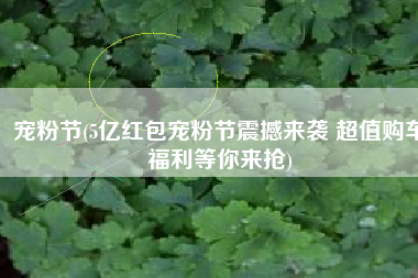 宠粉节(5亿红包宠粉节震撼来袭 超值购车福利等你来抢)