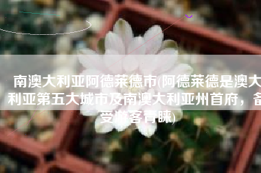 南澳大利亚阿德莱德市(阿德莱德是澳大利亚第五大城市及南澳大利亚州首府，备受游客青睐)