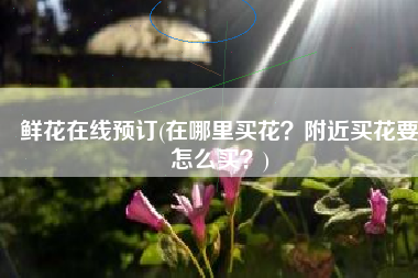 鲜花在线预订(在哪里买花？附近买花要怎么买？)