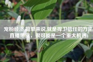 宠粉经济,简单来说,就是捍卫信任的方法(直播带货，很可能是一个重大机遇)