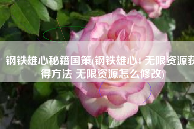 钢铁雄心秘籍国策(钢铁雄心4 无限资源获得方法 无限资源怎么修改)