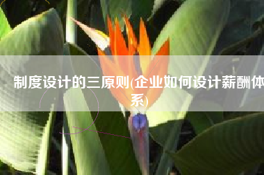 制度设计的三原则(企业如何设计薪酬体系)