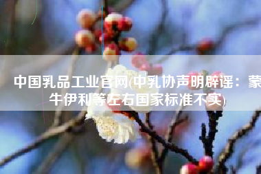 中国乳品工业官网(中乳协声明辟谣：蒙牛伊利等左右国家标准不实)
