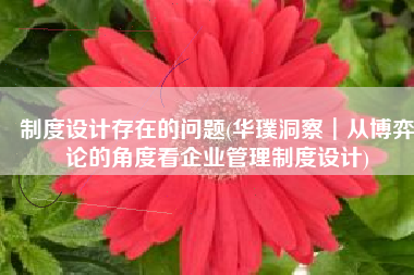 制度设计存在的问题(华璞洞察┃从博弈论的角度看企业管理制度设计)