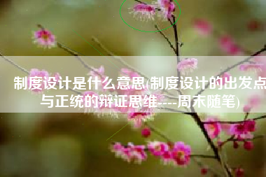 制度设计是什么意思(制度设计的出发点与正统的辩证思维----周末随笔)