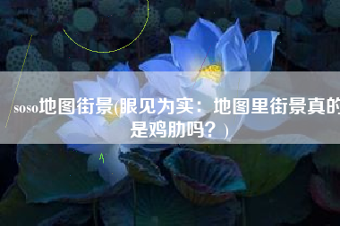 soso地图街景(眼见为实：地图里街景真的是鸡肋吗？)