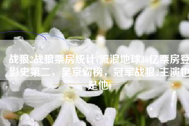 战狼2战狼票房统计(流浪地球36亿票房登影史第二，吴京霸榜，冠军战狼2主演也是他)