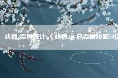 战狼2票房统计(《战狼2》总票房终破50亿)