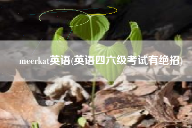meerkat英语(英语四六级考试有绝招)