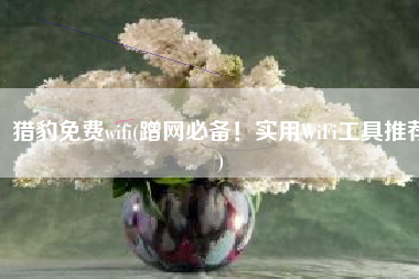猎豹免费wifi(蹭网必备！实用WiFi工具推荐)