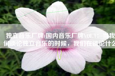 独立音乐厂牌(国内音乐厂牌VOL.1：当我们谈论独立音乐的时候，我们在谈论什么)