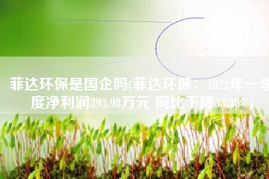 菲达环保是国企吗(菲达环保：2022年一季度净利润393.98万元 同比下降33.30%)