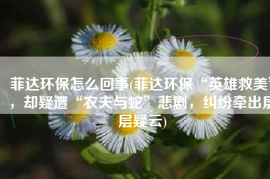菲达环保怎么回事(菲达环保“英雄救美”，却疑遭“农夫与蛇”悲剧，纠纷牵出层层疑云)