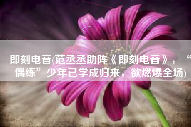 即刻电音(范丞丞助阵《即刻电音》，“偶练”少年已学成归来，欲燃爆全场)