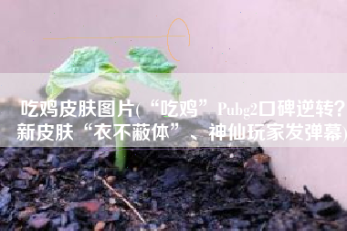 吃鸡皮肤图片(“吃鸡”Pubg2口碑逆转？新皮肤“衣不蔽体”、神仙玩家发弹幕)