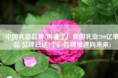 中国乳品品牌(厉害了！我国乳业200亿单品/品牌已达7个，品牌加速向未来)