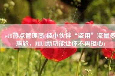 wifi热点管理器(被小伙伴“盗用”流量多尴尬，MIUI新功能让你不再担心)
