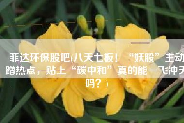 菲达环保股吧(八天七板！“妖股”主动蹭热点，贴上“碳中和”真的能一飞冲天吗？)