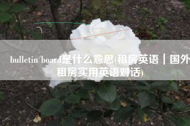 bulletin board是什么意思(租房英语｜国外租房实用英语对话)
