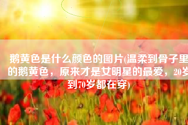 鹅黄色是什么颜色的图片(温柔到骨子里的鹅黄色，原来才是女明星的最爱，20岁到70岁都在穿)