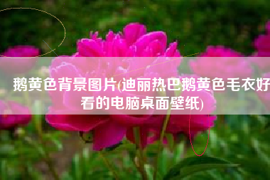 鹅黄色背景图片(迪丽热巴鹅黄色毛衣好看的电脑桌面壁纸)