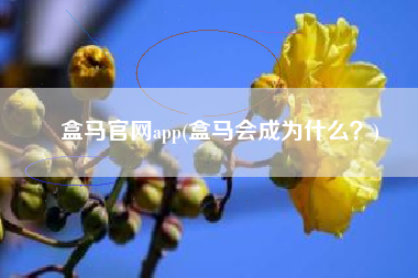 盒马官网app(盒马会成为什么？)
