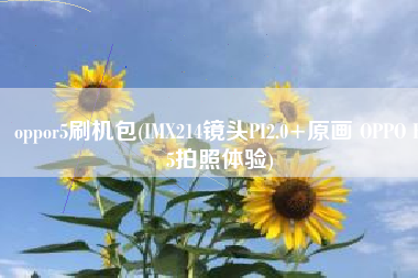 oppor5刷机包(IMX214镜头PI2.0+原画 OPPO R5拍照体验)