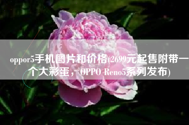 oppor5手机图片和价格(2699元起售附带一个大彩蛋，OPPO Reno5系列发布)