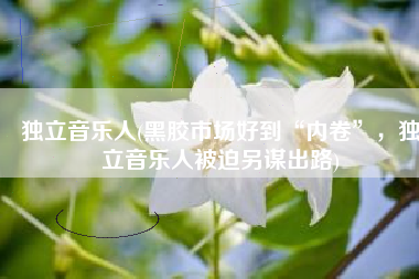 独立音乐人(黑胶市场好到“内卷”，独立音乐人被迫另谋出路)