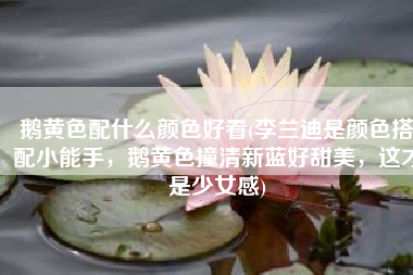 鹅黄色配什么颜色好看(李兰迪是颜色搭配小能手，鹅黄色撞清新蓝好甜美，这才是少女感)