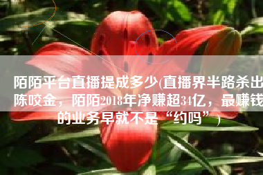 陌陌平台直播提成多少(直播界半路杀出陈咬金，陌陌2018年净赚超34亿，最赚钱的业务早就不是“约吗”)