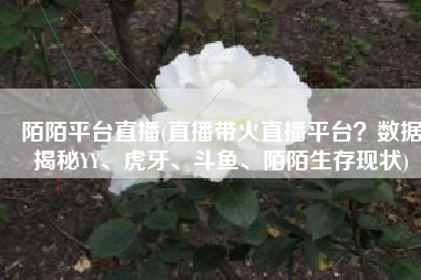 陌陌平台直播(直播带火直播平台？数据揭秘YY、虎牙、斗鱼、陌陌生存现状)