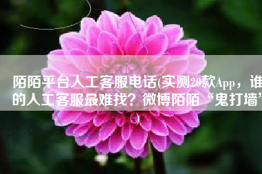 陌陌平台人工客服电话(实测20款App，谁的人工客服最难找？微博陌陌“鬼打墙”)