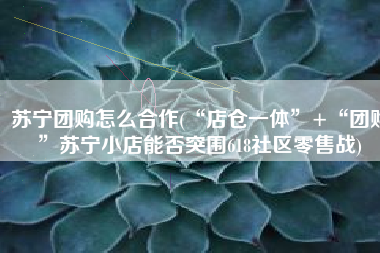 苏宁团购怎么合作(“店仓一体”+“团购”苏宁小店能否突围618社区零售战)