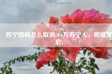 苏宁团购怎么取消(4.6万苏宁人，艰难重启)