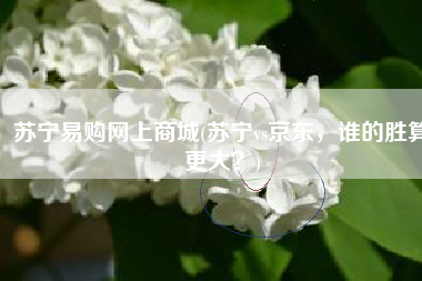 苏宁易购网上商城(苏宁vs京东，谁的胜算更大？)