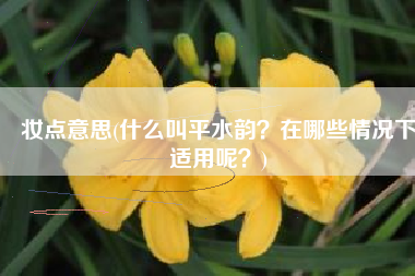 妆点意思(什么叫平水韵？在哪些情况下适用呢？)