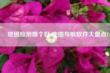 地图应用哪个好(地图导航软件大盘点)