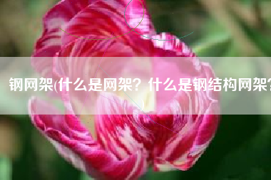 钢网架(什么是网架？什么是钢结构网架？)