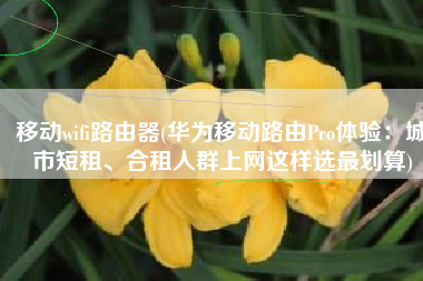 移动wifi路由器(华为移动路由Pro体验：城市短租、合租人群上网这样选最划算)