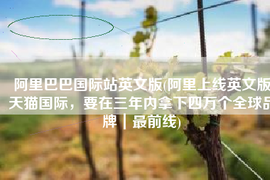 阿里巴巴国际站英文版(阿里上线英文版天猫国际，要在三年内拿下四万个全球品牌｜最前线)