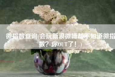 微指数查询(会玩新浪微博却不知道微指数？你OUT了！)