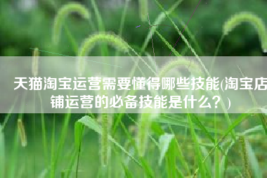 天猫淘宝运营需要懂得哪些技能(淘宝店铺运营的必备技能是什么？)