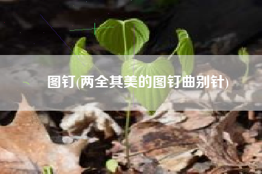 图钉(两全其美的图钉曲别针)
