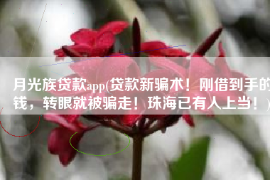 月光族贷款app(贷款新骗术！刚借到手的钱，转眼就被骗走！珠海已有人上当！)