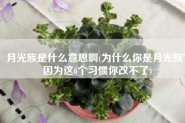 月光族是什么意思啊(为什么你是月光族？因为这6个习惯你改不了)