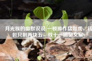 月光族的幽默说说(一顿操作猛如虎，钱包只剩两块五，双十一搞笑文案)