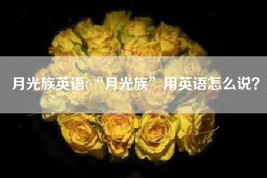 月光族英语(“月光族”用英语怎么说？)