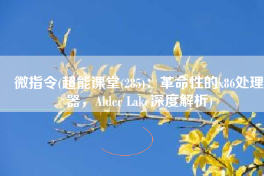 微指令(超能课堂(285)：革命性的x86处理器，Alder Lake深度解析)