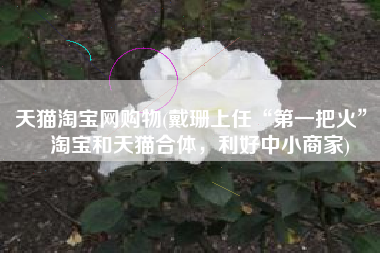 天猫淘宝网购物(戴珊上任“第一把火”：淘宝和天猫合体，利好中小商家)